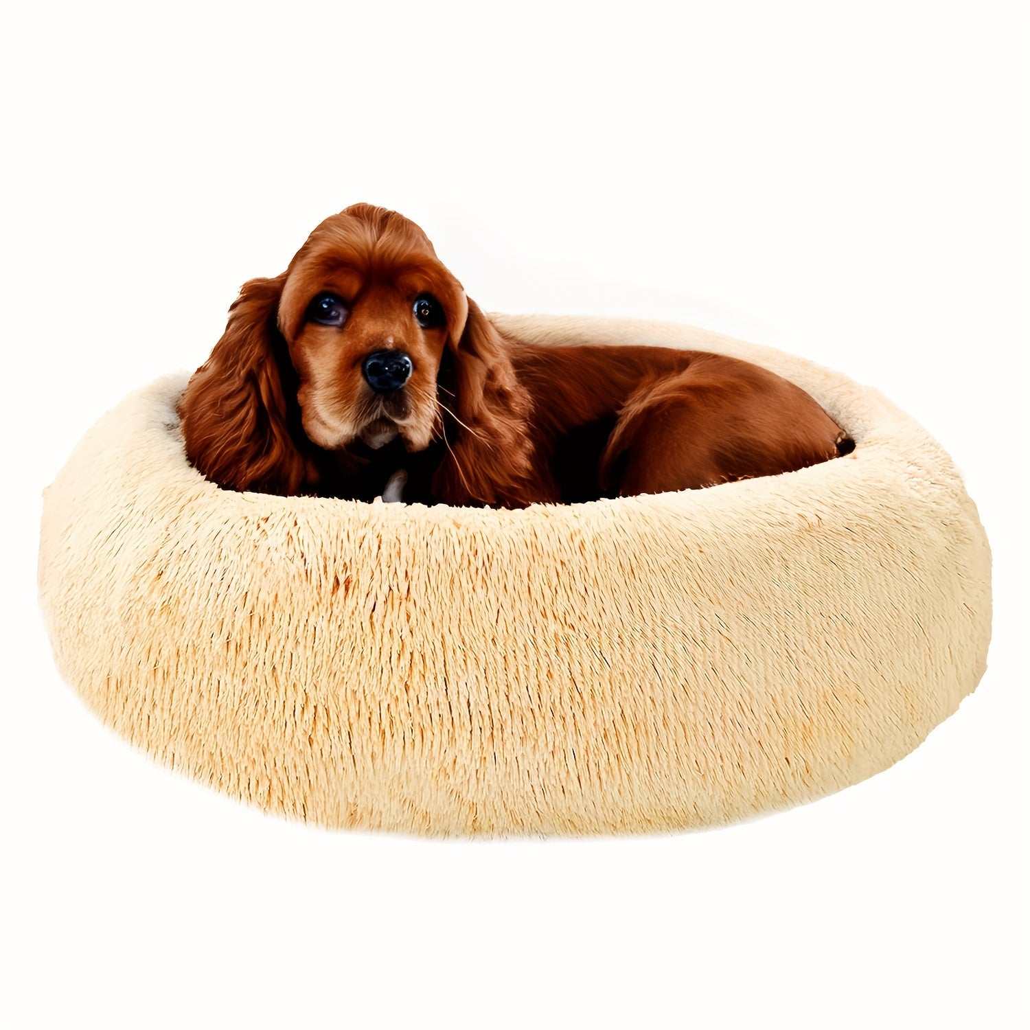 Cozy Soft Donut CuddlerExpress Global Mart  customizedProduct Description
Give your furry friend the ultimate relaxation experience with the Cozy Soft Donut Cuddler. Designed to provide unparalleled comfort and securityCozy Soft Donut CuddlerCartifind