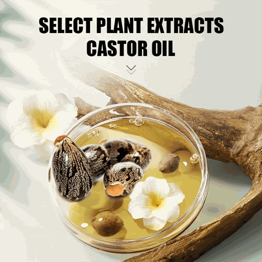 Cold Pressed Castor OilExpress Global Mart  customizedProduct Description
Experience the ultimate solution for dry hair with our Cold Pressed Castor Oil. This luxurious oil is meticulously crafted to nourish and revitalCold Pressed Castor OilCartifind