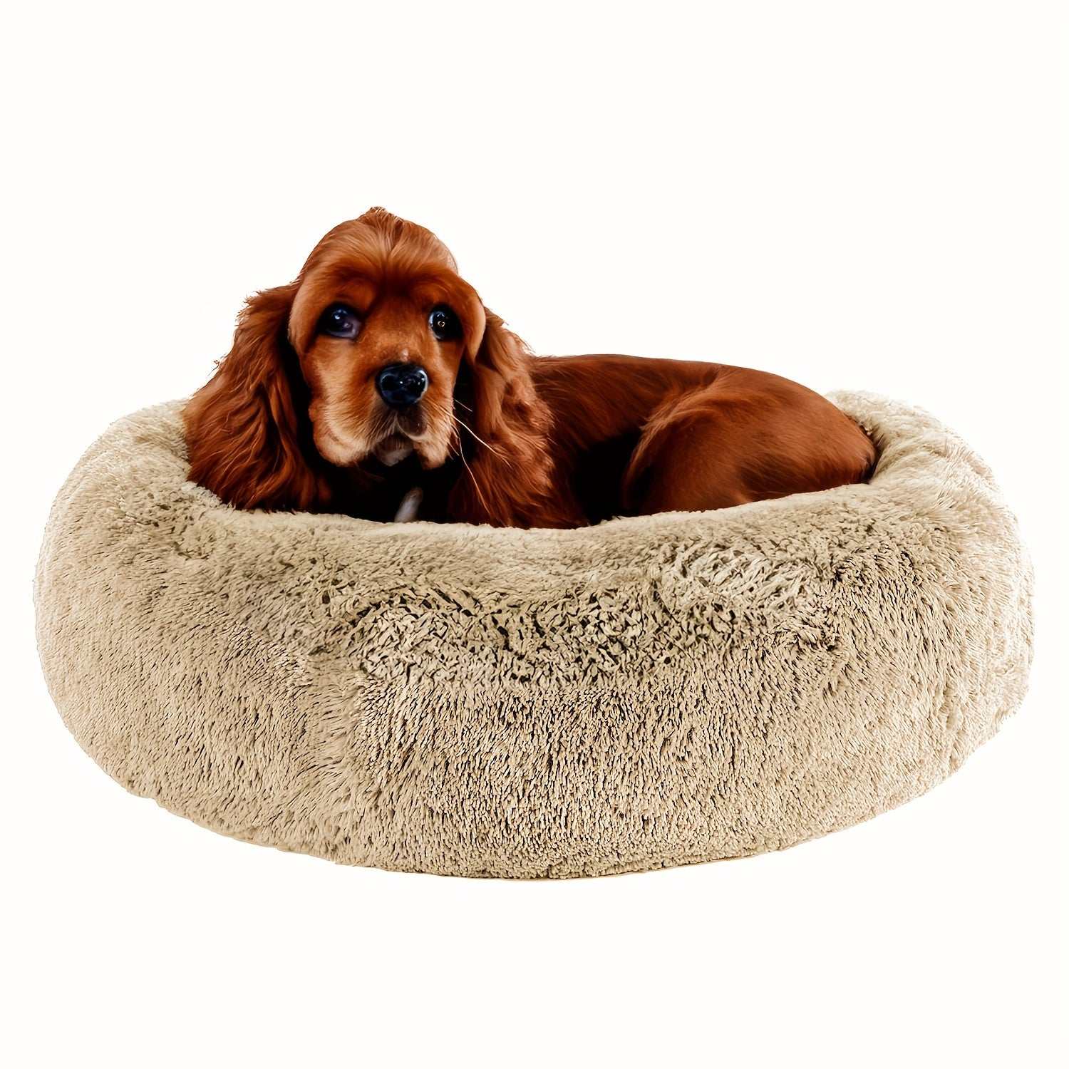 Cozy Soft Donut CuddlerExpress Global Mart  customizedProduct Description
Give your furry friend the ultimate relaxation experience with the Cozy Soft Donut Cuddler. Designed to provide unparalleled comfort and securityCozy Soft Donut CuddlerCartifind