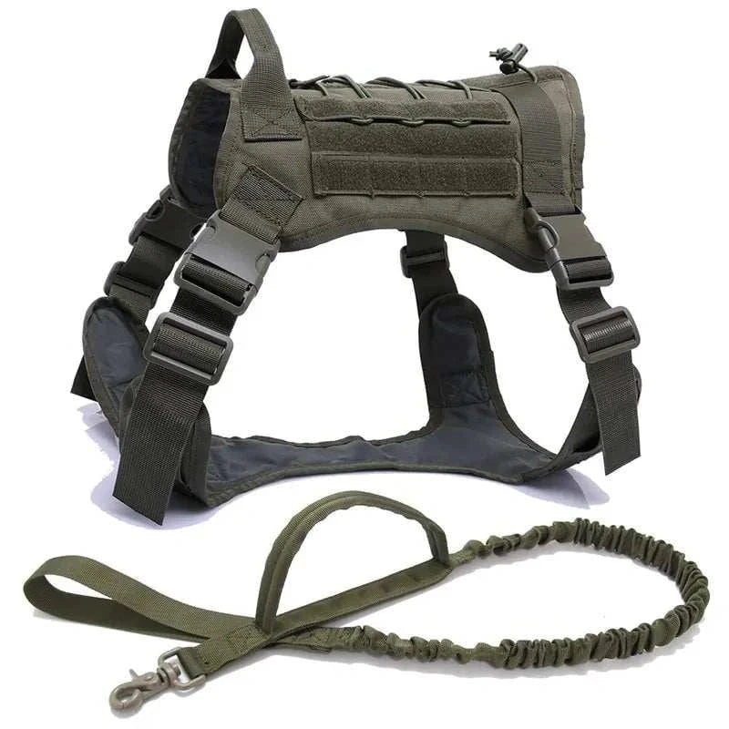 Nylon tactical dog harness with handle and bungee leash for large dogs.