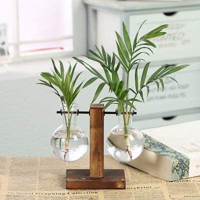 Hydroponic Transparent Plant VasesExpress Global Mart  Elevate Your Plant Display with Hydroponic Transparent Plant Vases!
Transform your plant display into a stunning focal point with our Hydroponic Transparent Plant VaHydroponic Transparent Plant VasesZendrop