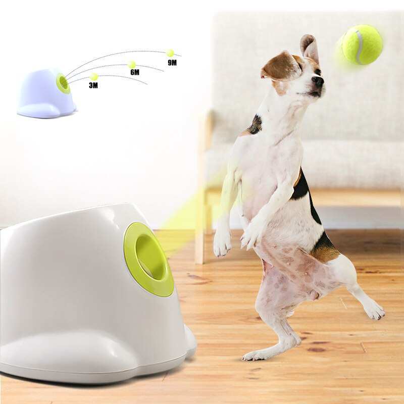 Dog pet Tennis LauncherExpress Global Mart  Introducing the Ultimate Automatic Ball Launcher: Your Pet's Playtime Pal!
Say goodbye to tired arms and hello to endless fun with our Automatic Ball Launcher. Here'Dog pet Tennis LauncherZendrop