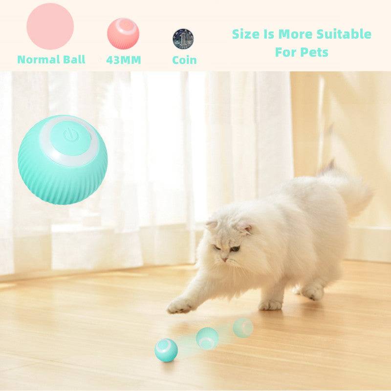 Smart Cat Ball ToysExpress Global Mart  🐾 Introducing Smart Cat Ball Toys - The Ultimate Interactive Fun for Your Feline Friend! 🎉
Key Features:
🌟 Intelligent &amp; Interactive: Keep your beloved cat enSmart Cat Ball ToysZendrop