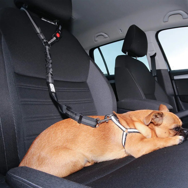 Pet products car seat belt dog leash with buffer elastic reflective safety rope leash dog rope