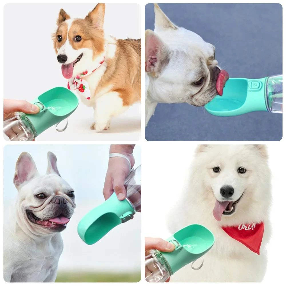 Pet Water BottleExpress Global Mart  🚶‍♂️🐾 Introducing the Ultimate Pet Water Bottle! 🐾🚶‍♂️
Keep your furry friend hydrated on the go with our versatile and eco-friendly Pet Water Bottle. Whether yoPet Water BottleDSers