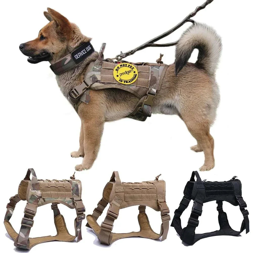 Nylon tactical dog harness with handle and bungee leash, available in brown, black, ranger green, and camouflage for large dogs.