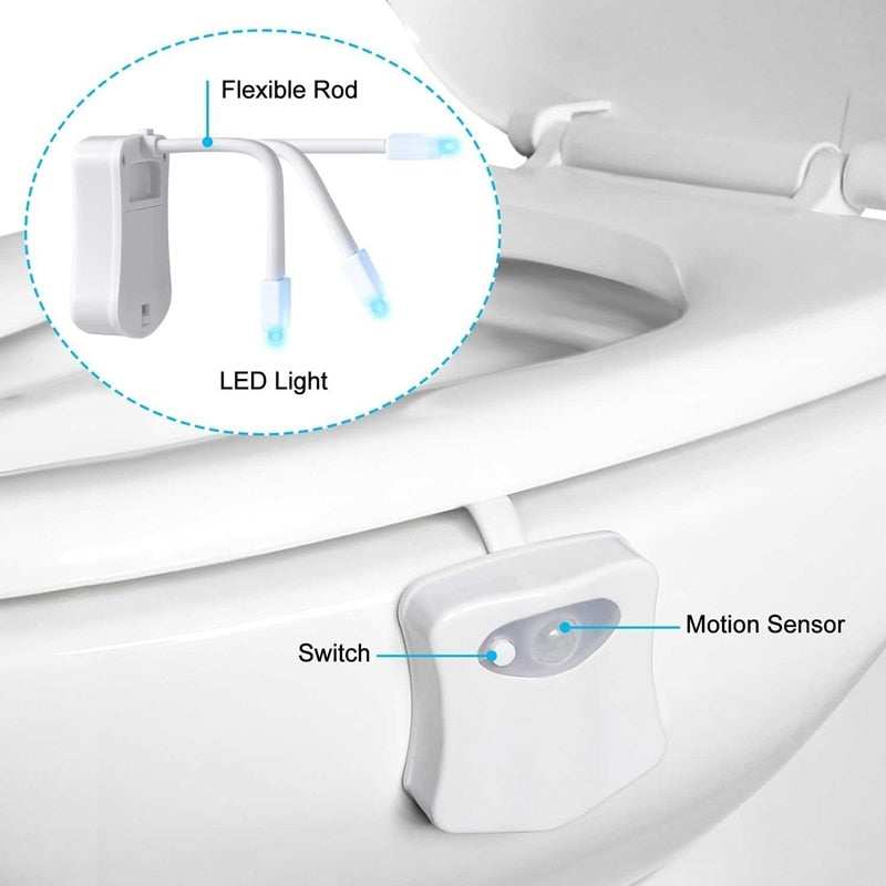 Toilet Night LightExpress Global Mart  Illuminate Your Bathroom with the Toilet Night Light!
🌙 Soft Ambient Glow: Say goodbye to harsh bathroom lights! Our night light provides a gentle, ambient glow, peToilet Night LightZendrop